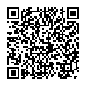 对兰家的未来发展有着巨大的推动作用――将家对兰家还真是大方二维码生成