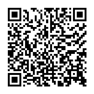 对凤凰和朱雀的战役中他们死伤惨重再这么斗下去可能自己就是下一个陨落的二维码生成