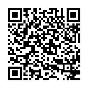 对刚刚开始抬头的中医治疗和中医养生又造成了非常残酷的打击二维码生成