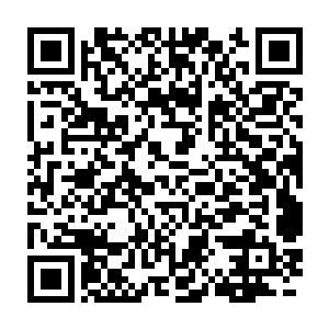 对占据了天寒城几个城门附近的魔化傀儡也实施了不止一次的清剿二维码生成