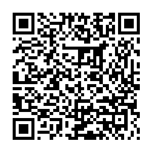对方不管是假意还是真诚表现出来的大气都让他只能拍胸脯一表忠心和诚意二维码生成