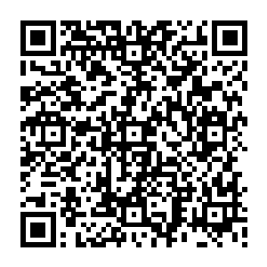 对方此刻的表现与曾经自己在那娱乐会所内所见到犹如丧尸般的人类有着几分相似二维码生成