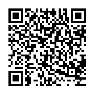对方没有把引爆的时机放在朝圣大会上面倒是让苏凡很是意外二维码生成