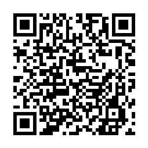 对方的身体数据以及气息波动被芯片原封不动地记录了下来二维码生成