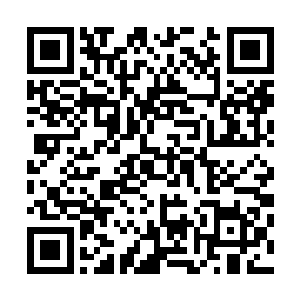 对比生鱼片和条形码……自己在速度上还是占了些许优势的二维码生成