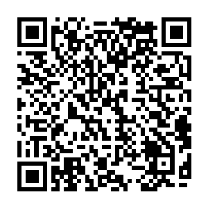 对着倒在地上的安德鲁就狠狠的踹了起来……林茜和徐娇也是不愿落后的二维码生成