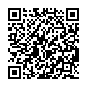 对自己的锻炼磨砺迅速成熟起来的作用是不言而喻的二维码生成