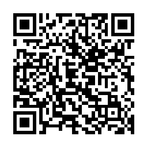 对面的十几只巨大泥沼怪一样的东西仿佛受到了什么无形的鞭挞二维码生成