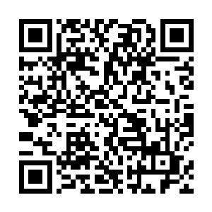 寻宝维尼在流墨墨的腰带里挣扎着把头和胳膊拔了出来二维码生成