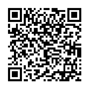 寻找烈阳果这个任务……可不就是为你这样的一级游仙打造的二维码生成