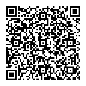 导游andy是一个年轻男人 说着一口粤腔的普通话 时不时的再配个英文单词啥的 是典型的澳人二维码生成