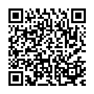 导演杜克罗森伯格还在访谈中透露了许多拍摄细节和幕后故事二维码生成