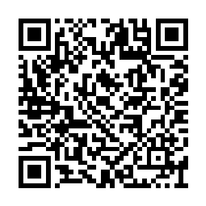 导致在格物学上仍旧与他们差了很大的一个距离二维码生成