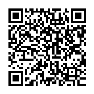 导致楚暮现在无法动用金之意境又不知道那到底是什么变异意境二维码生成