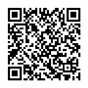 封不觉小时候曾经试图用这种方式训练宠物使用抽水马桶二维码生成