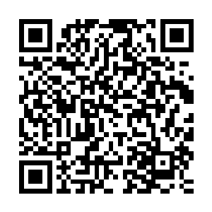 封不觉是真没想到这战斗力排行榜第二的家伙竟准备跟自己拼了二维码生成