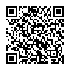 封印在了一睡千古和一梦万年两大家族的传人的识海之内二维码生成
