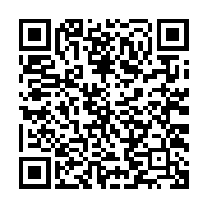 封印罩的底部无数果树上的的巨大果实颜色由白色变成了黄色二维码生成