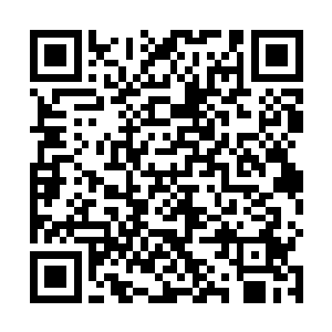封天城的气数海眨眼间勾连了疆域内的所有城池和城镇二维码生成