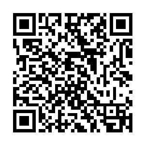 将一段不可思议的爱情有细腻的笔触讲述得让人信服二维码生成