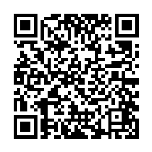 将两种原本应该有冲撞的风格极为完美地融合在一起二维码生成