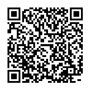 将之前我获得的那部分意识海修补技术和冰碧蝎的冰化天赋结合在一起二维码生成