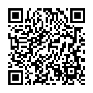 将于今介绍给他在戛纳认识的一些国内影视圈台前幕后的大腕二维码生成