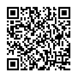 将他们的灵气融入屏障的过程中或许也会惊动东皇大帝二维码生成