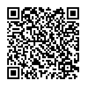 将他绑缚得结结实实的铁线蛇蜥器魂居然发出了一声凄厉无比惨叫声二维码生成