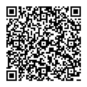 将会和欧美第二大制药公司梅里万――塞斯内特集团CEO巴斯菲尔德先生为首的代表团访问贵国二维码生成