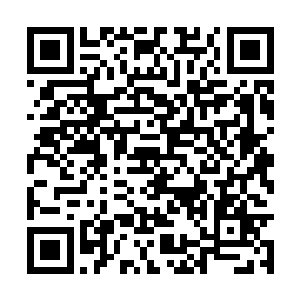 将传递重要信息的重任托付在了一条畜生身上的话二维码生成