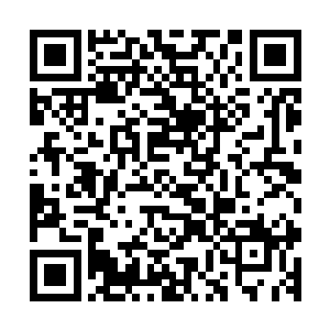 将作为礼物的几块蠕虫肉摆在一头身上满是皱皮的独角族面前二维码生成