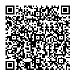 将养殖场中的动物换成了与自己长的一样的人族……便感觉浑身每个毛孔都如寒冰针刺般难受二维码生成