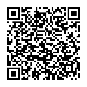将内门弟子与精英弟子中最为优秀的一部分人和核心弟子们的名单实力呈现上来二维码生成