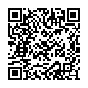 将几枚做过手脚的乾坤戒都暗藏在最隐秘的部位二维码生成