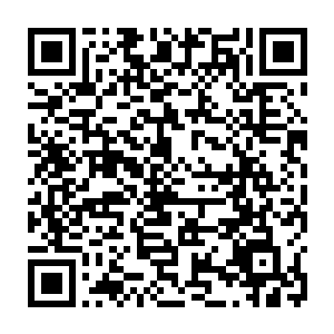 将同类骗到人类指定地方…比如梓箐他们第一次遇到的那只丧尸头领便是如此…二维码生成