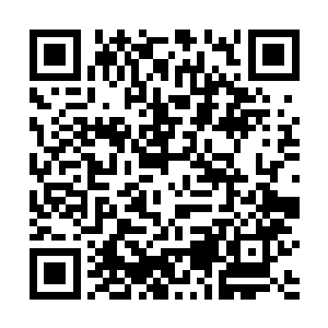 将在医院里录的视频和护士对话的录音都给杨燕妮看了二维码生成