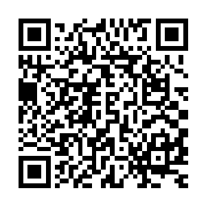 将天下第一大宗门的荣誉从神机宗夺过来的梦想破灭的三分之一二维码生成