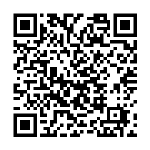 将家和兰家刚刚才对龙图集团进行过一次大规模地投资二维码生成