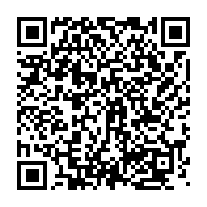 将尽可能多的资料上传到服务器不但能够根据其价值直接赚取一大笔钱二维码生成