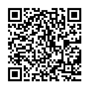 将常年不怎么在宿舍的其他两名成员张淼奕和萧轩给叫了回来二维码生成