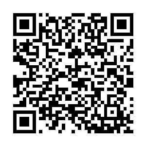 将康长老带给他的那些储物袋里面的材料全部都给抖落了出来二维码生成