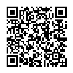 将我们凌天机甲团当成了一块结结实实的踏脚板……不过二维码生成