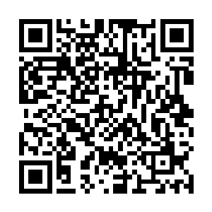 将放置在里面的一本完全由兽皮定做成的书籍拿在手中二维码生成