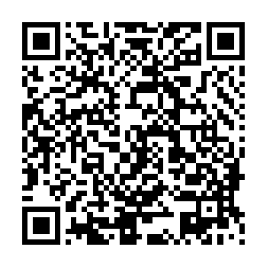 将来也是……他们从不相信他们的父亲会丧心病狂在福海城做出那样的事情来二维码生成
