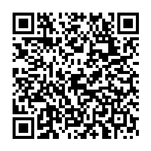 将来新皇亲政了对嫡母和生母的感情深厚就决定了将来的生活和尊荣二维码生成