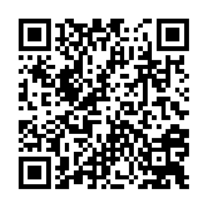 将林氏先前给林家送粮时说的话又全部给回了过去二维码生成