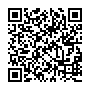 将梓箐原本还存在疏漏的法则漏洞全部修补了上去二维码生成