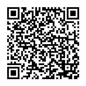 将段命体内几乎停滞的血液再次逼动起来的同时也将其体温极速升高二维码生成