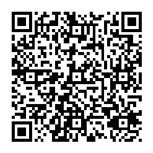 将炎黄搜集到的暗日魔术师的资料全盘托出--只是隐瞒了白小飞在异世界的部分二维码生成